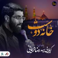شب های دلتنگی | خانه دوست | کربلایی سید رضا نریمانی